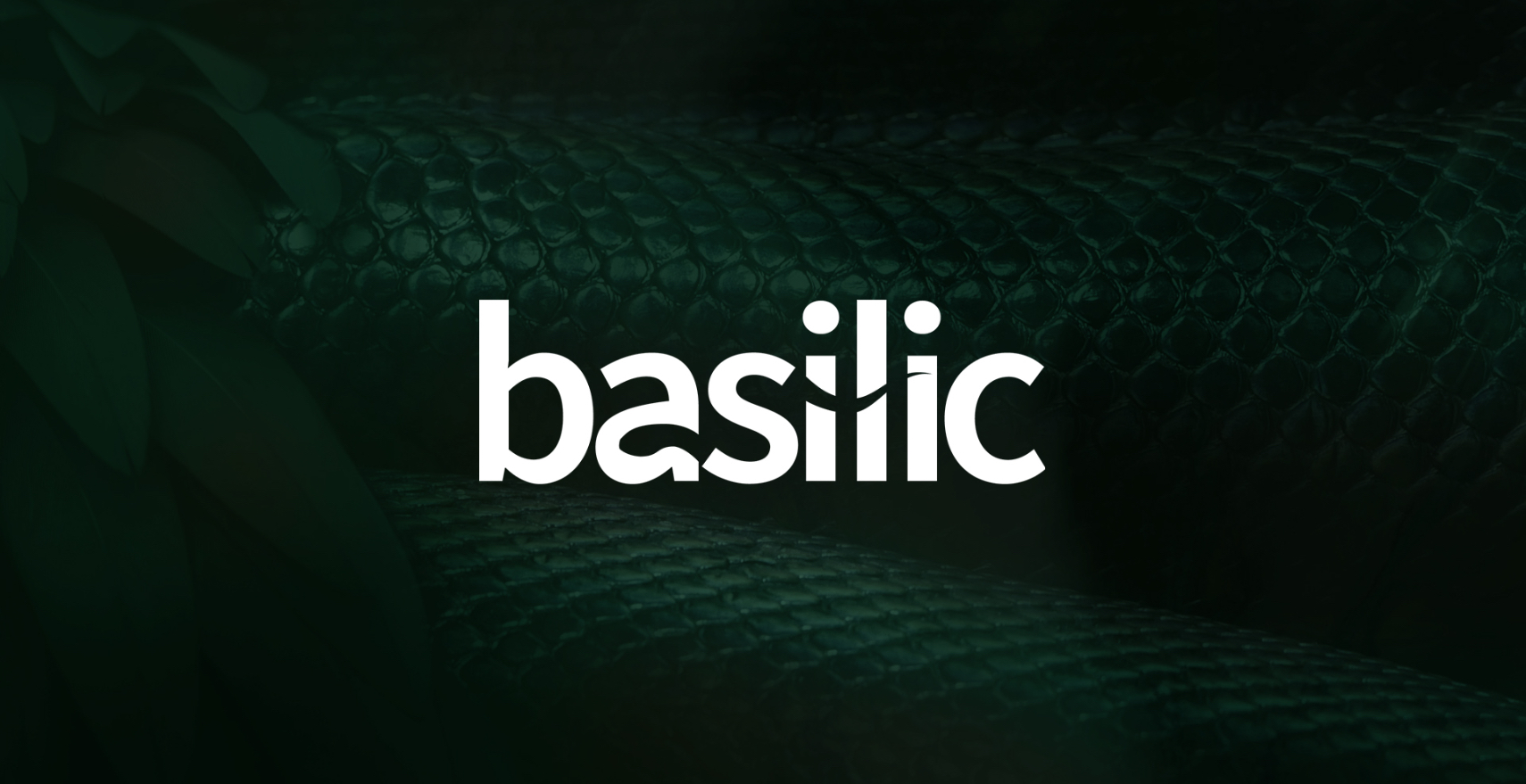 Basilic Design